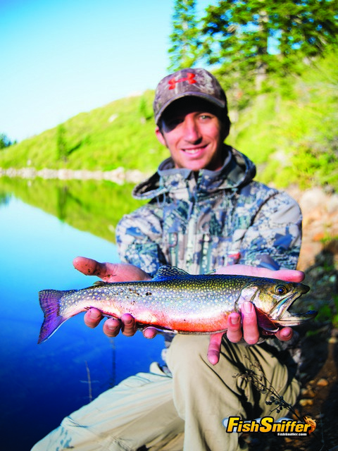 Secret Mission: High Sierra Brook Trout