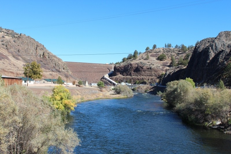 Yurok Tribe finds deadly disease in Klamath River salmon