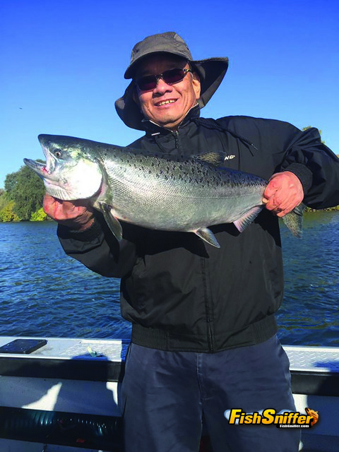 California River Reports