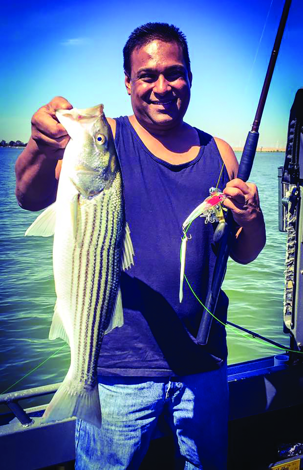 California Delta Report