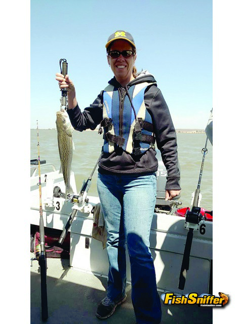 Delta Stripers During the Summer to Fall Transition Period