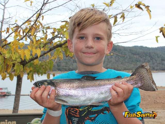 Collins Lake Yields Lots Of Holdover Rainbows During NTAC Championship