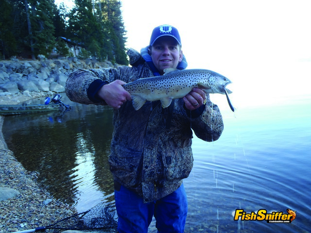 Lake Almanor is a Top Winter Trout Fishery