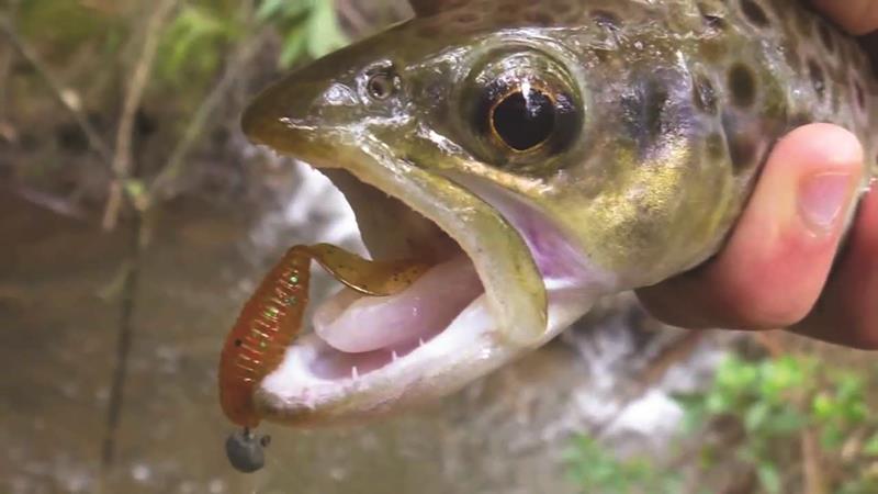 Soft Plastic Grubs For Trout & Bass!
