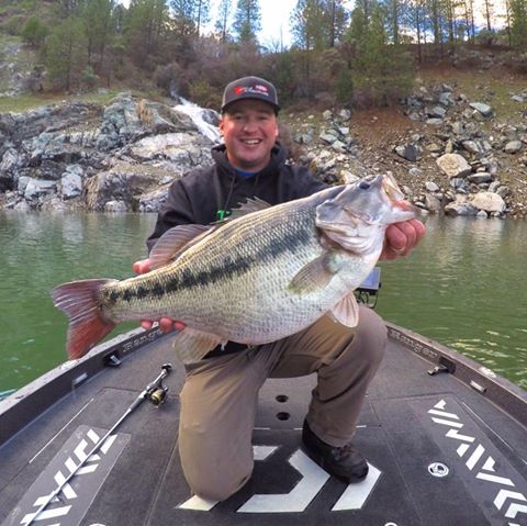 Angler Catches Potential World Record 10.8 Lb Spotted Bass At Bullards Bar