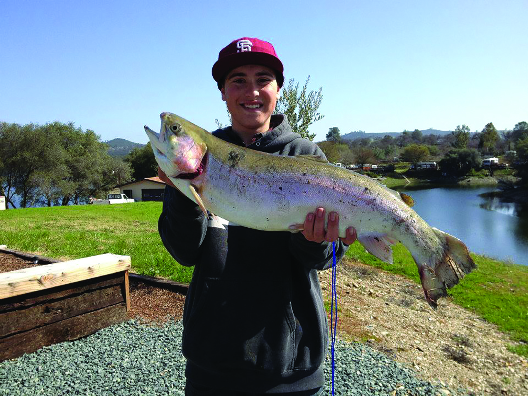 Lake Trout Report