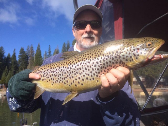 Trout North And South