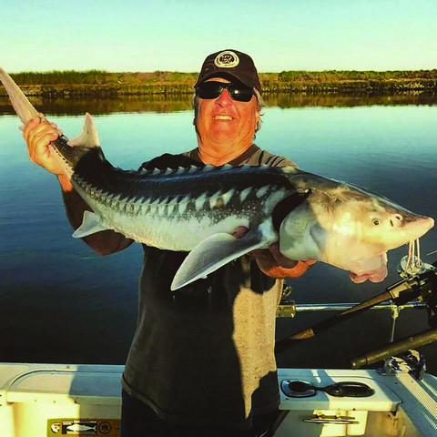 Early Spring Delta Report