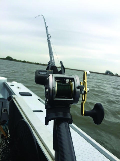 Cousins Rods Slay Stripers
