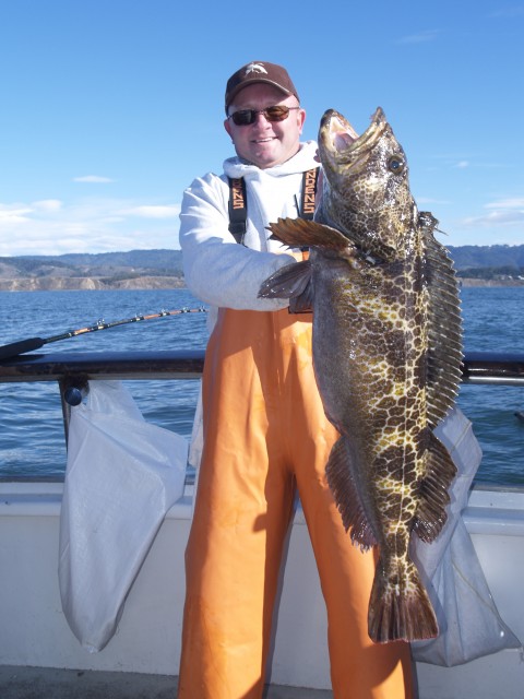 Natural Baits For Big Rocks And Lings