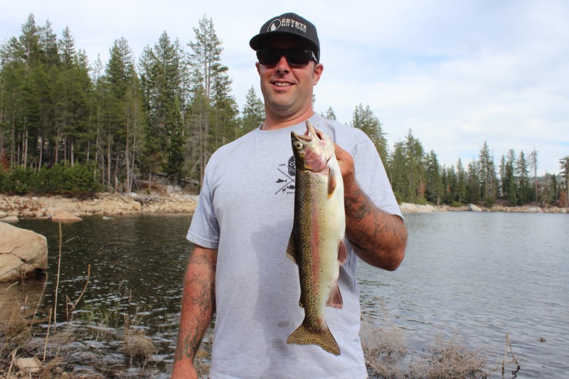 Lake Alpine: Trophy Trout At Wilderness Edge