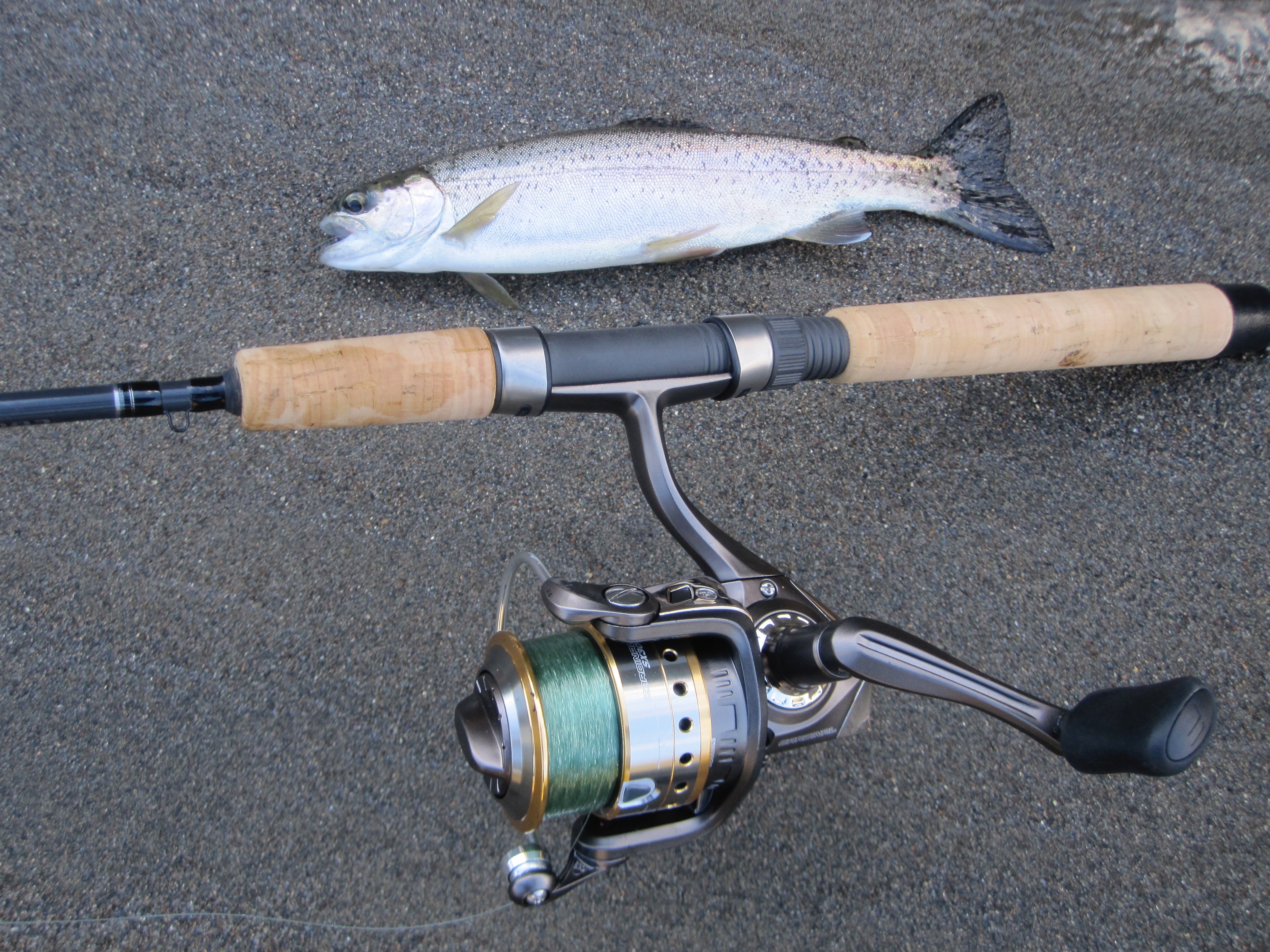 Soak Bait For Winter ‘Bows!