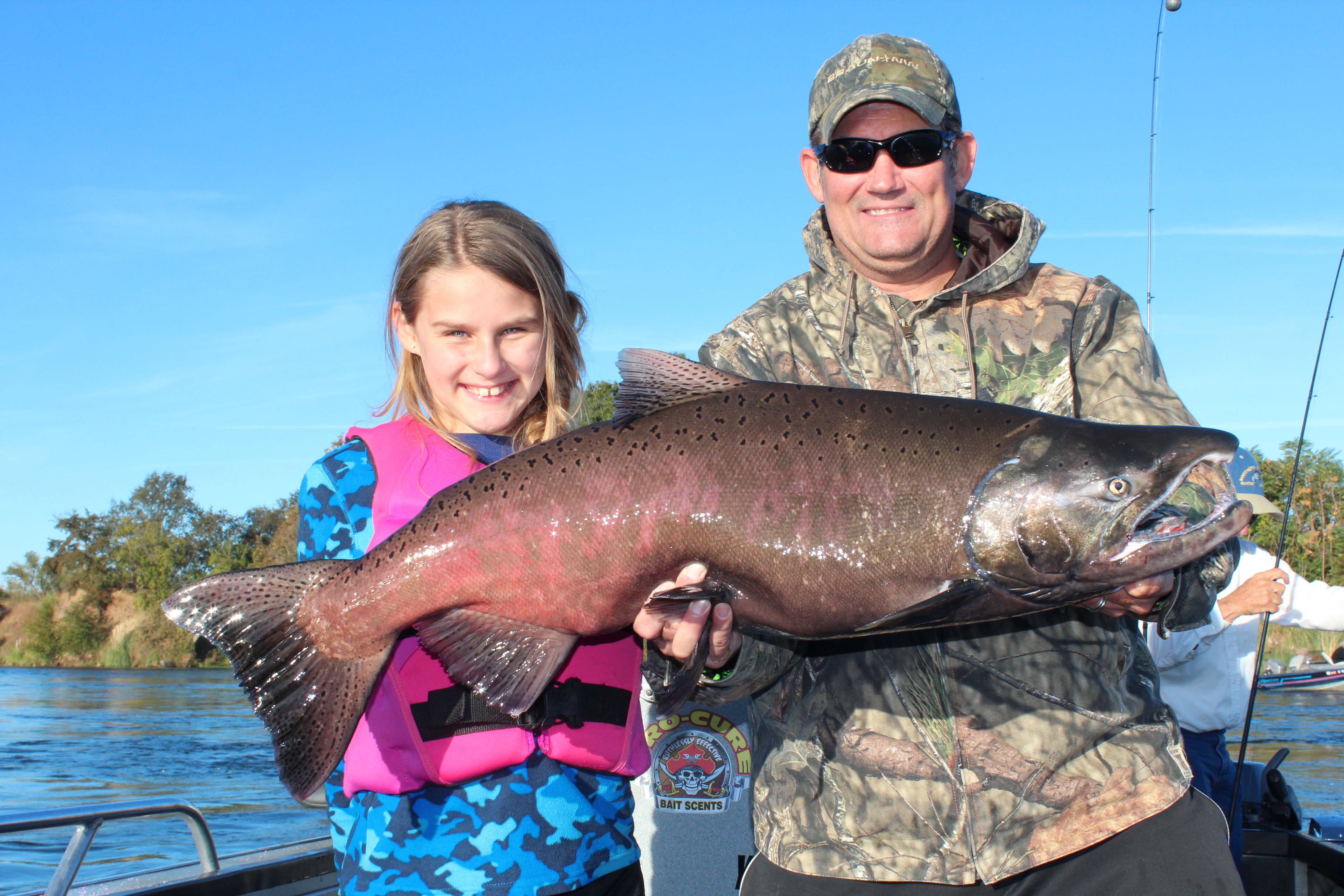 Feather River Steelhead and Fall Chinook Numbers Soar
