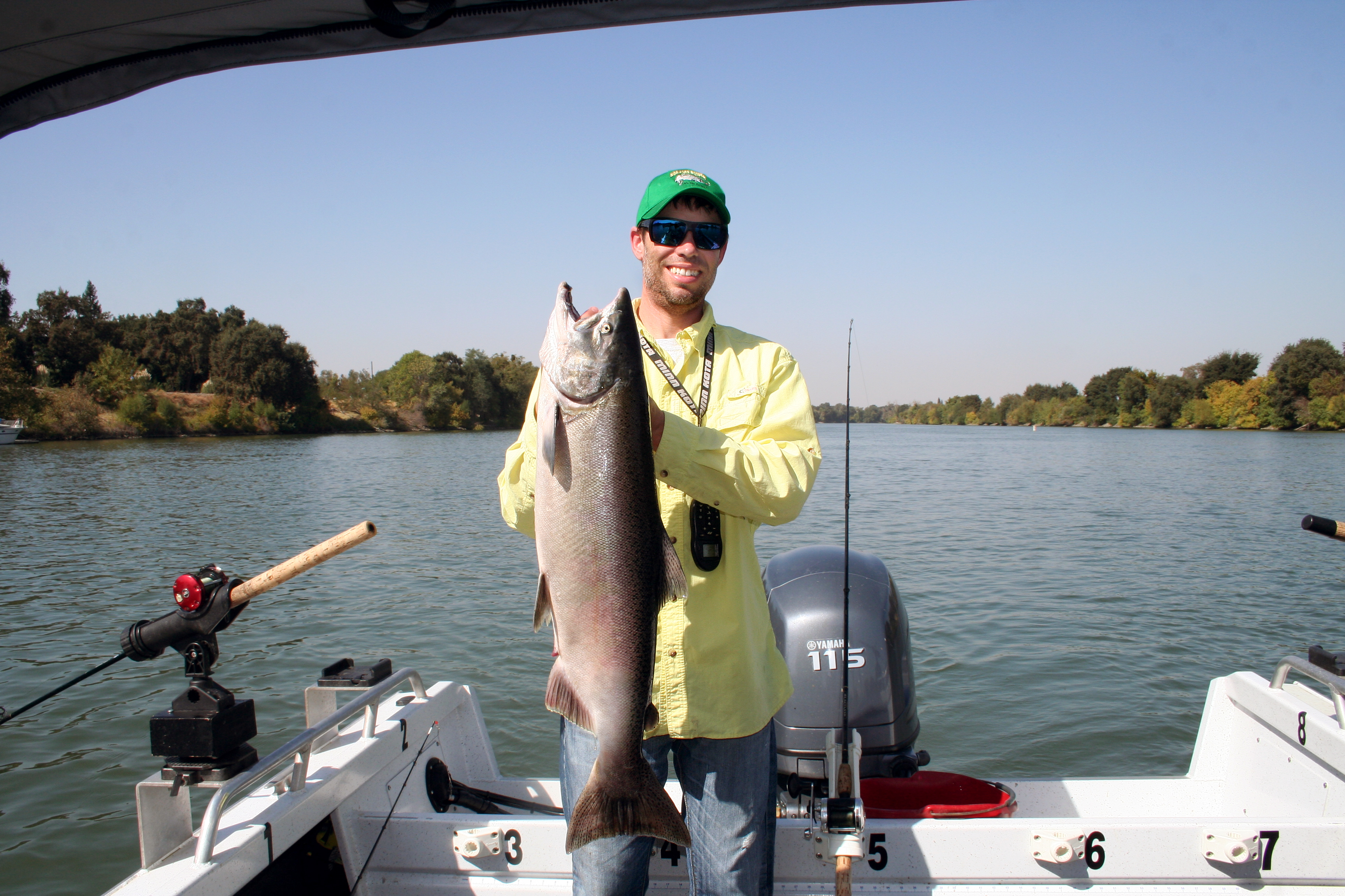 Your Guide To Sac City Salmon!