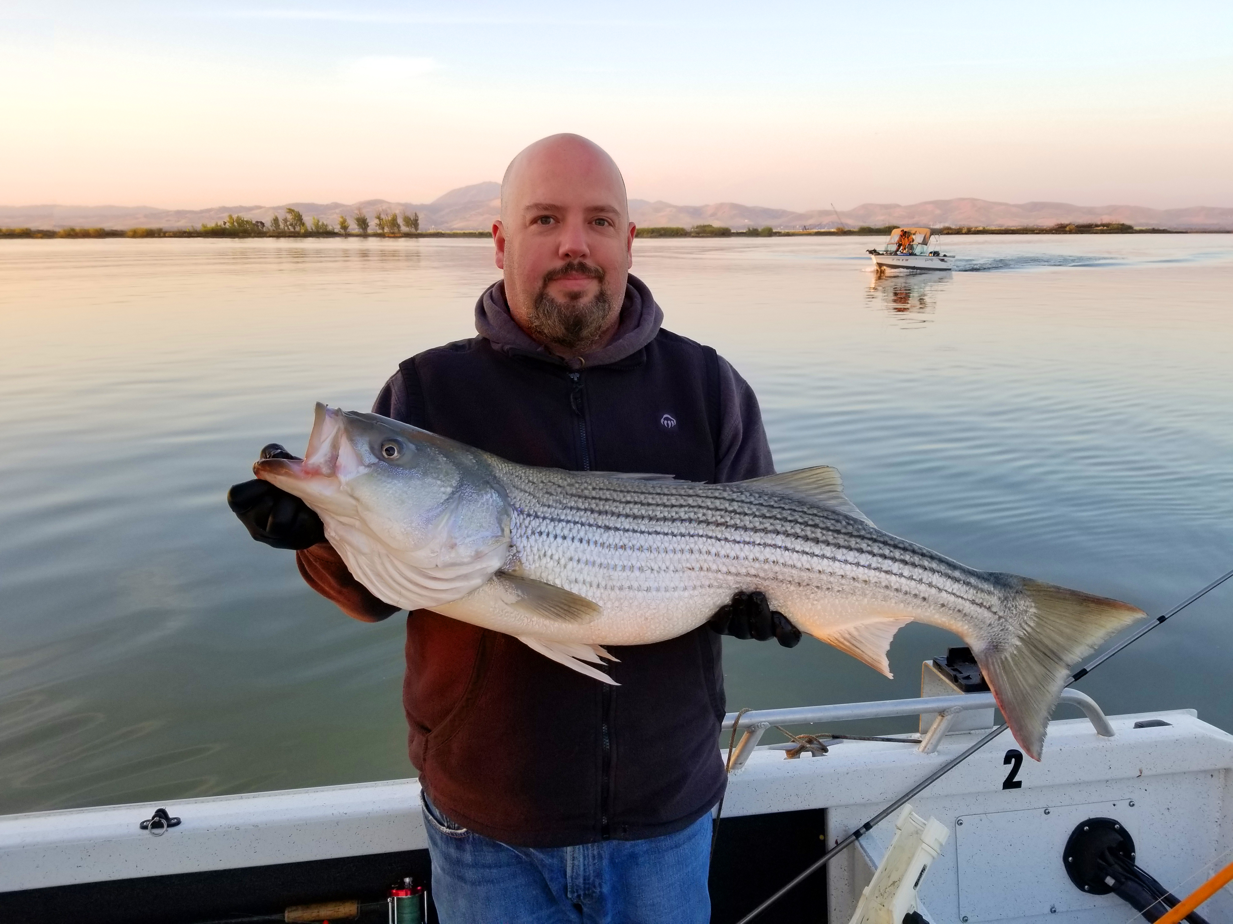 Stripers and Sturgeon and Salmon, Oh My!