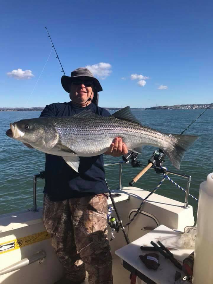 On The Hunt For West Delta Stripers With Captain Anthony Langes!