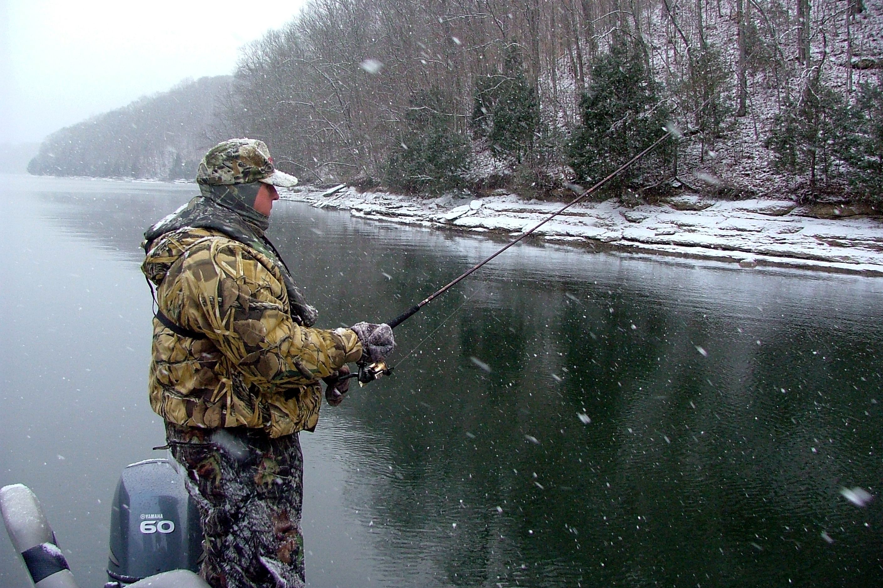 Catch The Big Chill For Bass