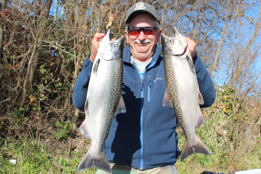 Salmon Season Is Over, Record Steelhead Run Reported at Hatchery