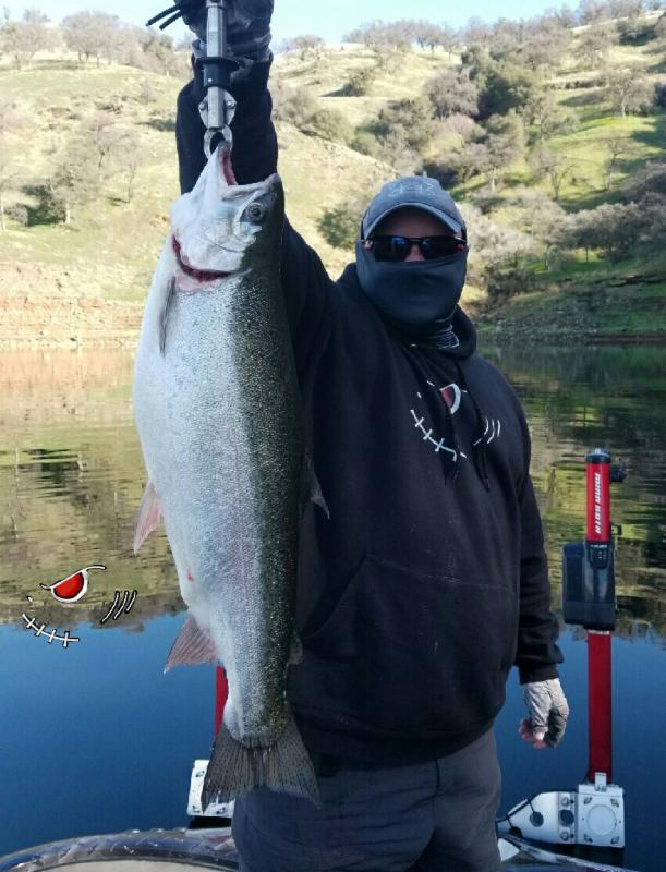 14 Lb. Rainbow Trout Shatters New Melones Lake Record!