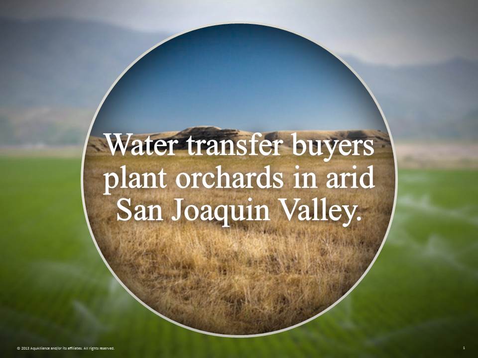 Big Court Victory: 10-Year California Water Transfer Program Failed Analysis and Disclosure