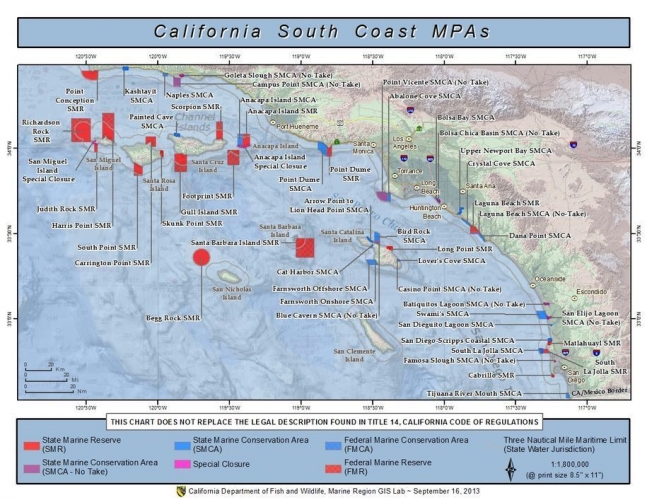 Commission suspends license of charter boat operator for poaching in MPA network