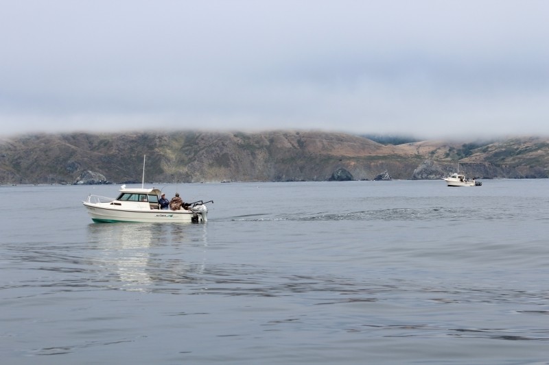Salmon Fishing Will Open on April 7 Below Pigeon Point, Remain Closed Above