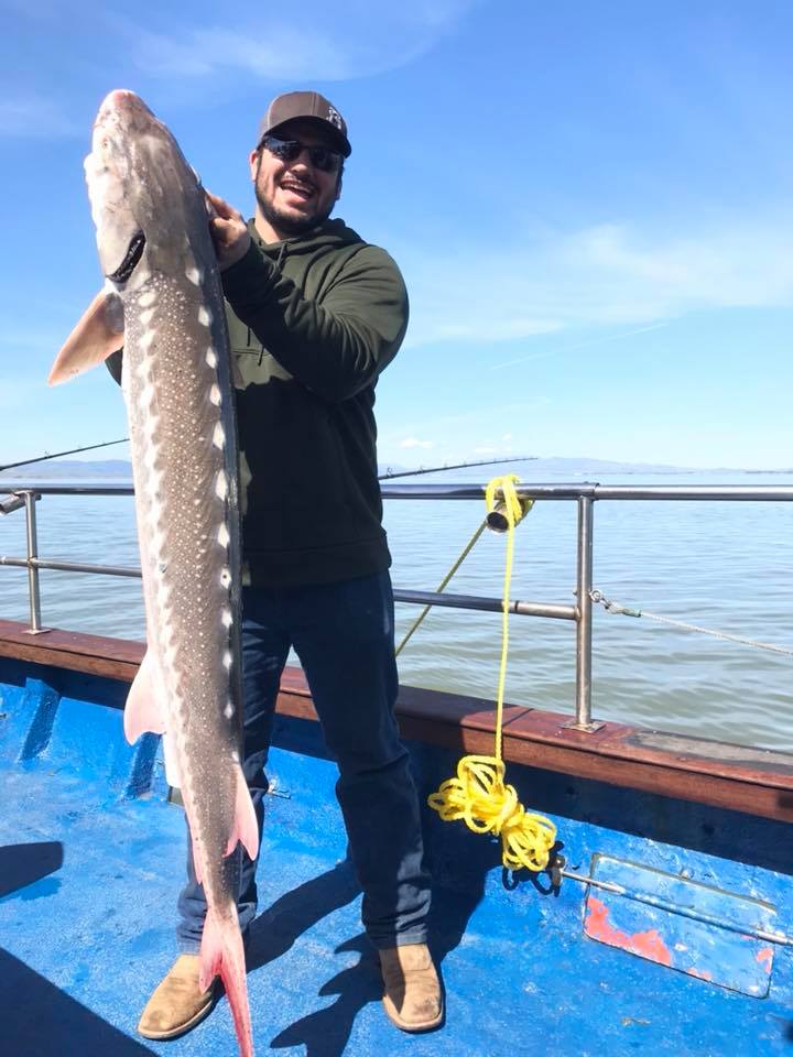 Deputy Bob Hauck of the Sacramento Sheriff Sportsman’s Project brought a group of youth to fish at...
![Die Hard Sturgeon Fishermen Show Grit at Addathon Ironman Sturgeon Derby
