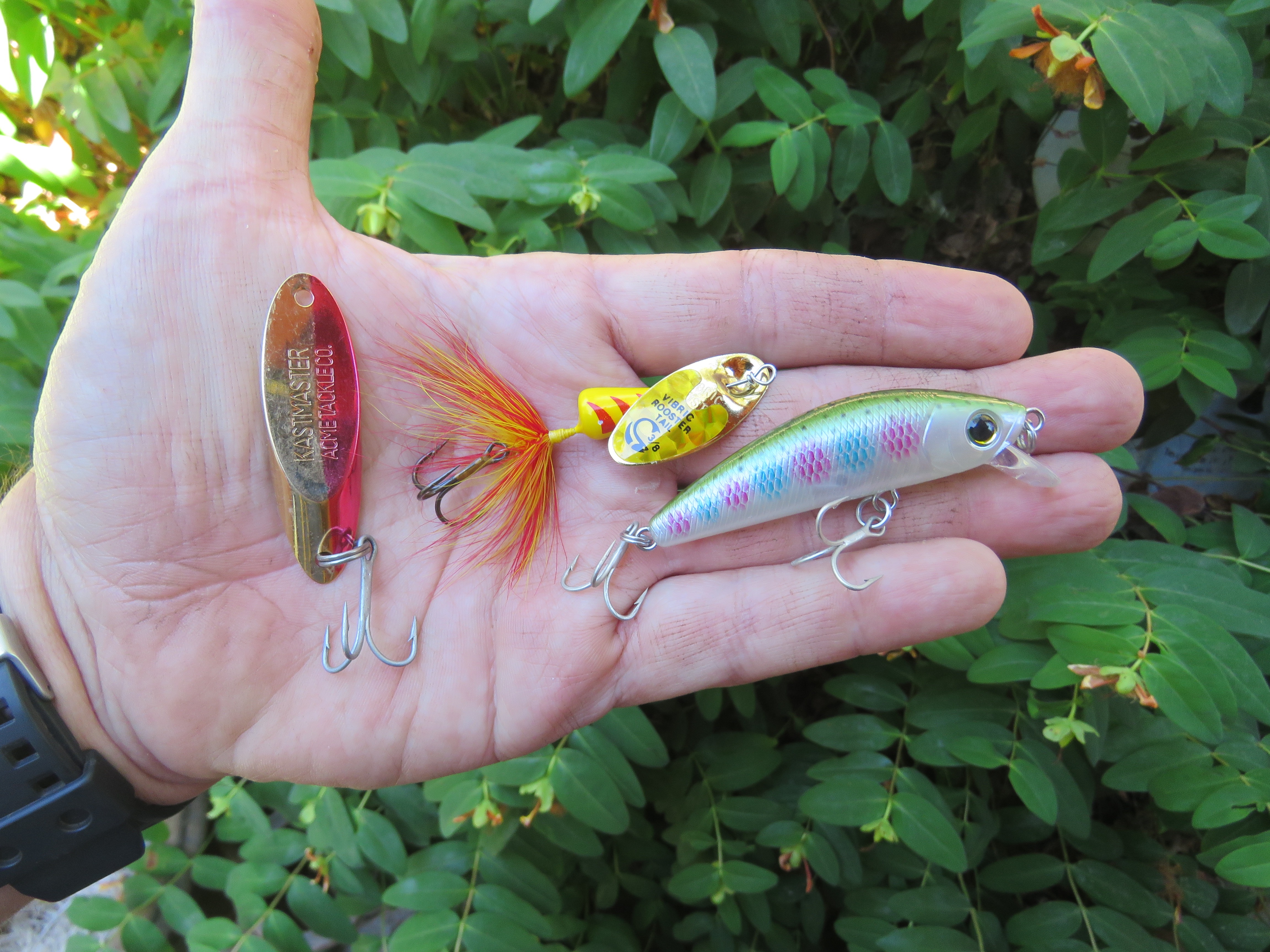 Finding Trout…