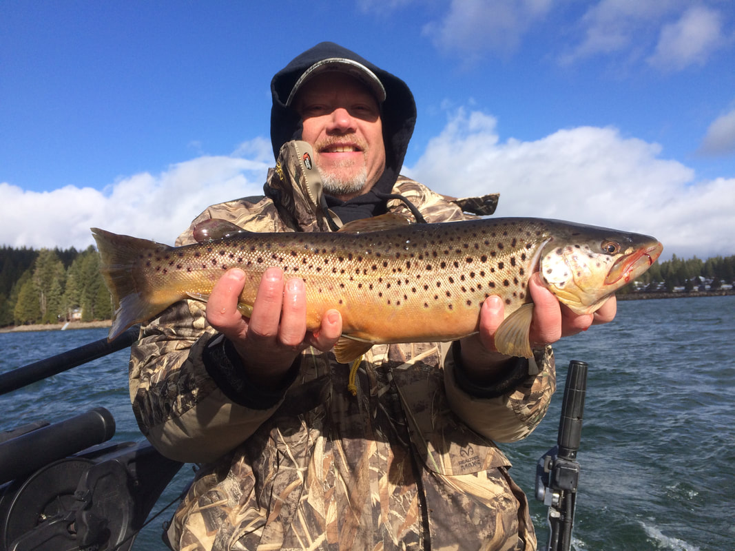 Looking For One Big Trout…!