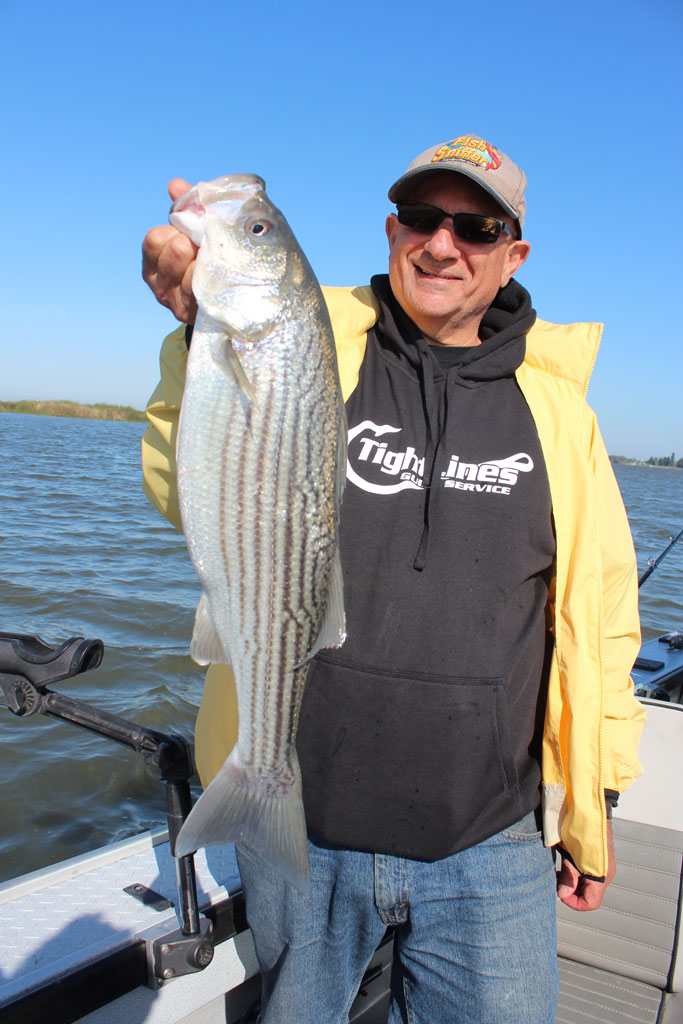 The San Joaquin River: From the High Sierra to the Delta