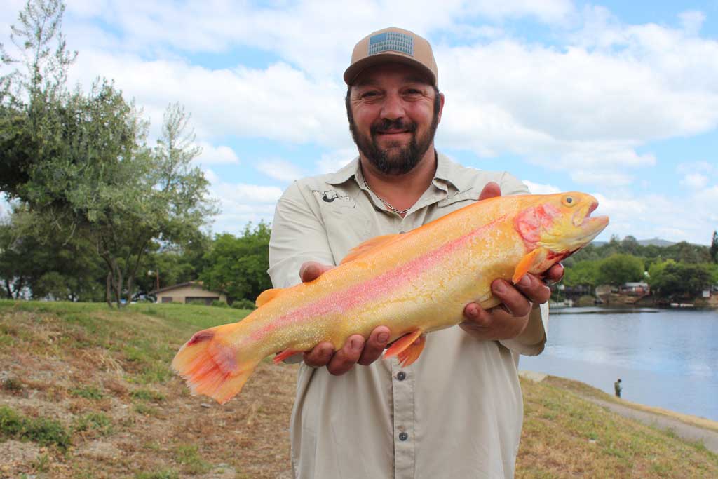 Lake Amador Delivers Big Rainbow and Lightning Trout
