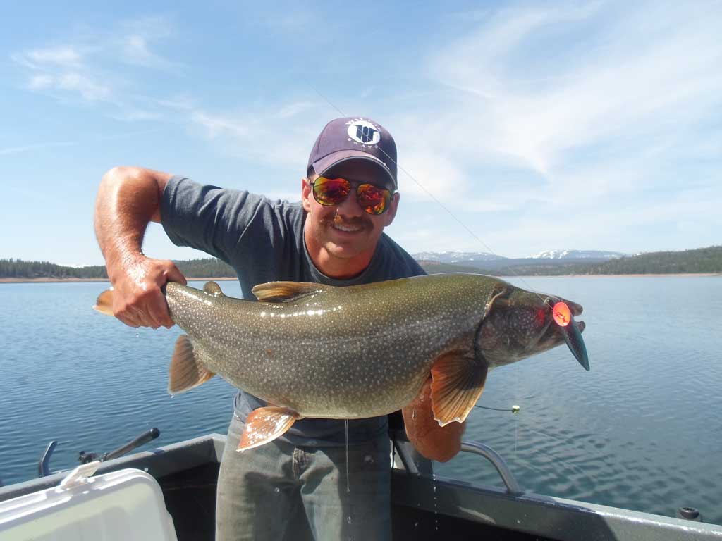 Three Little Lures that Catch Big Trout