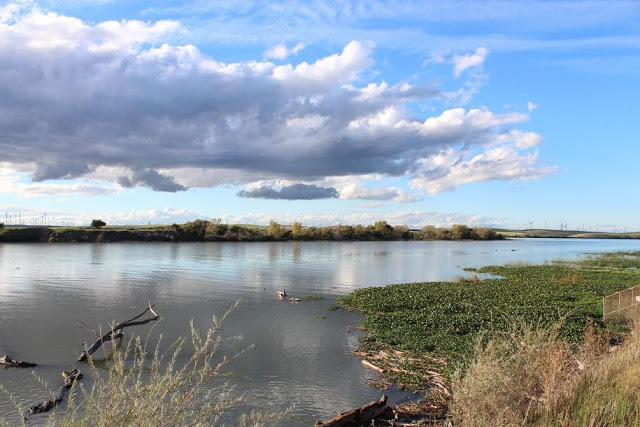 RTD Action Alert: Federal Rider Would Eliminate Litigation Against Delta Tunnels