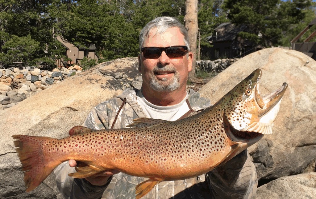 Caples Lake Yields Abundant Rainbows, Trophy Browns & Mackinaws
