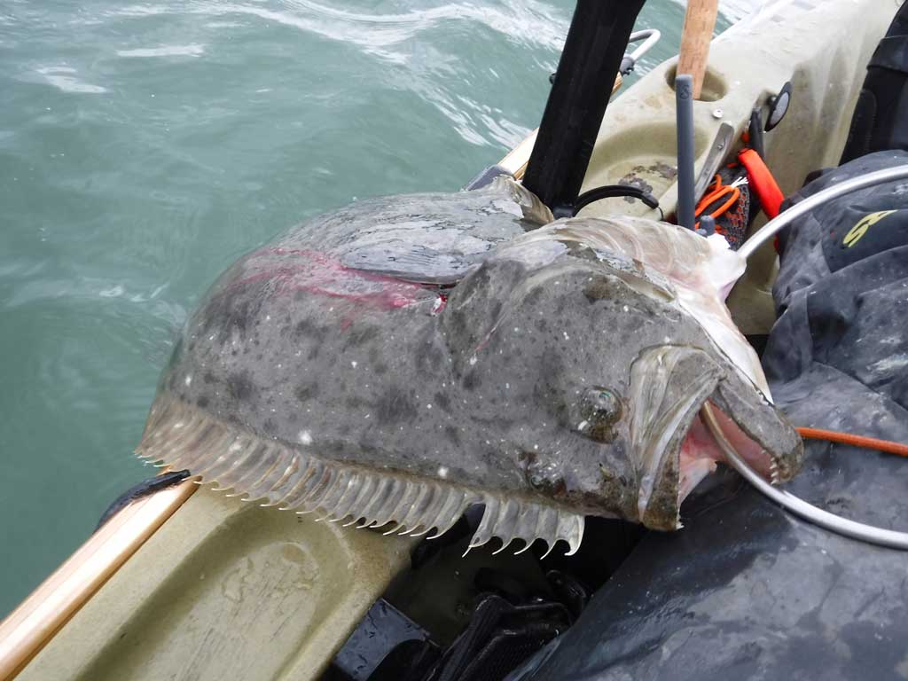 North Coast Halibut Notes!