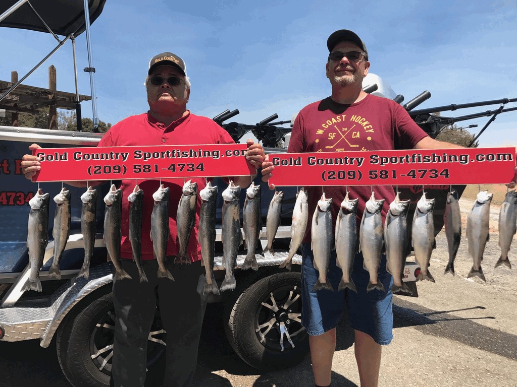 Don Pedro Lake, the Mother Lode’s Variety Trout and Salmon Fishery