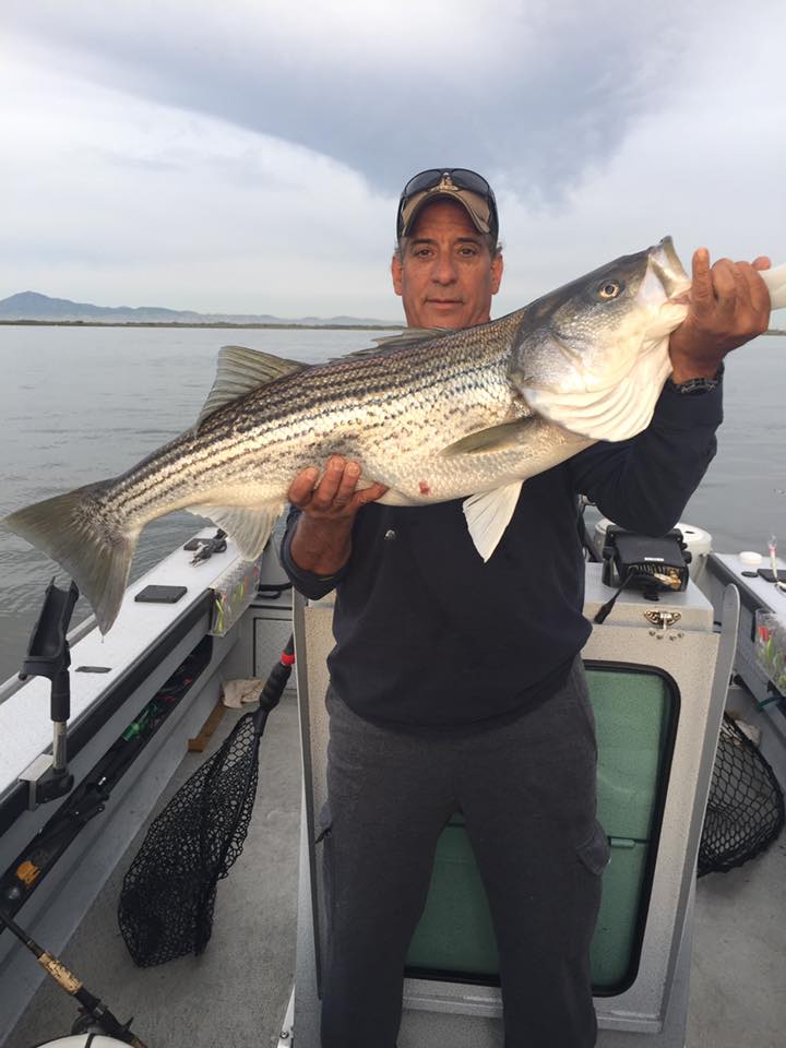 Captain James Netzel Talks Striper Trolling!