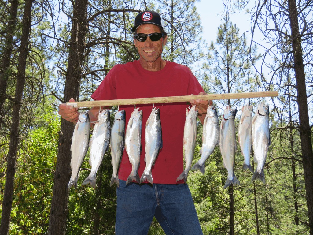 Rip Roaring Kokanee Mayhem Rages At Bullards Bar Reservoir!