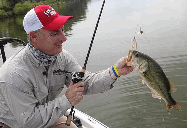 Tips for Better Buzzbait Success