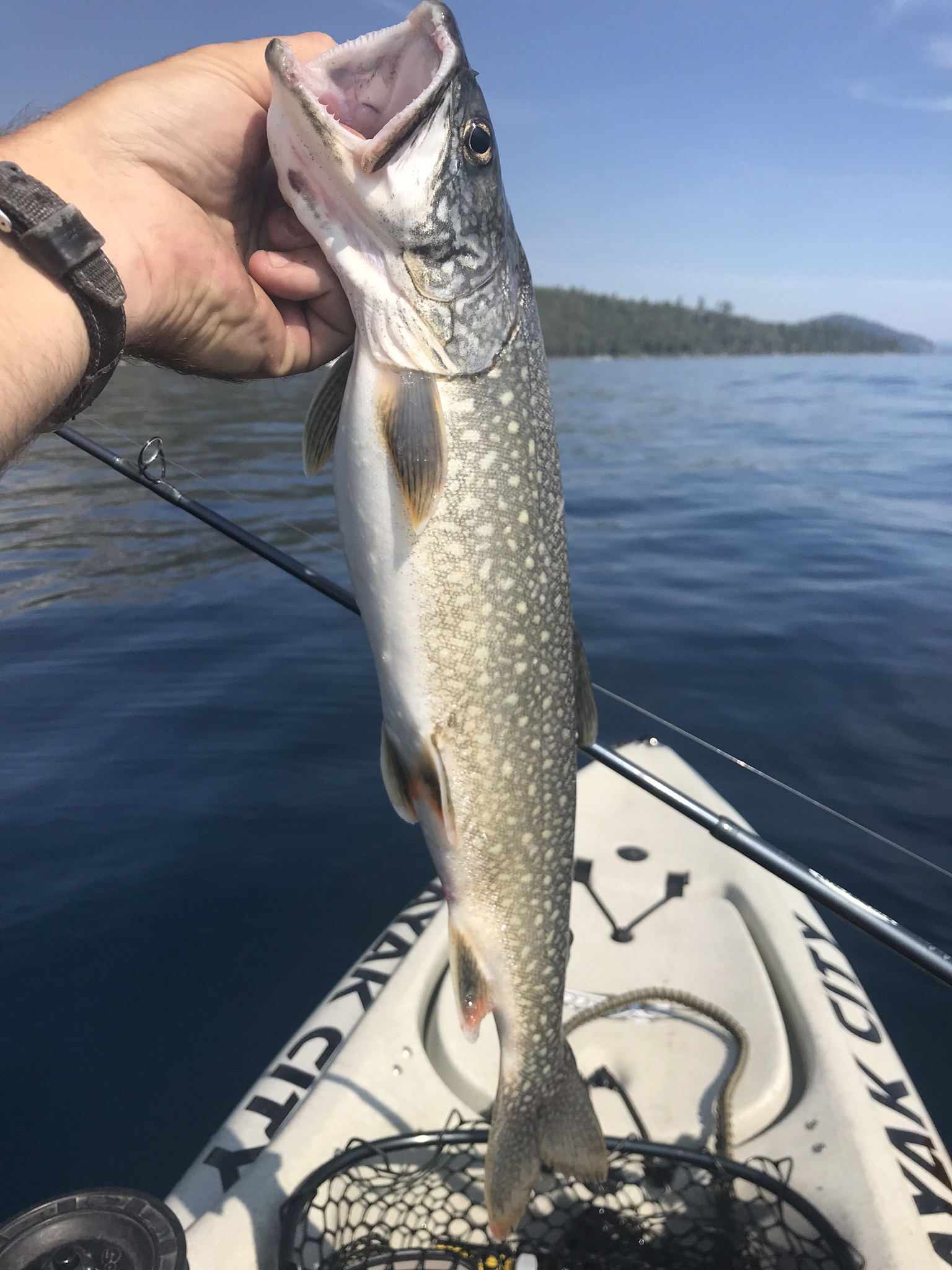 Lake Tahoe Kayak Quest