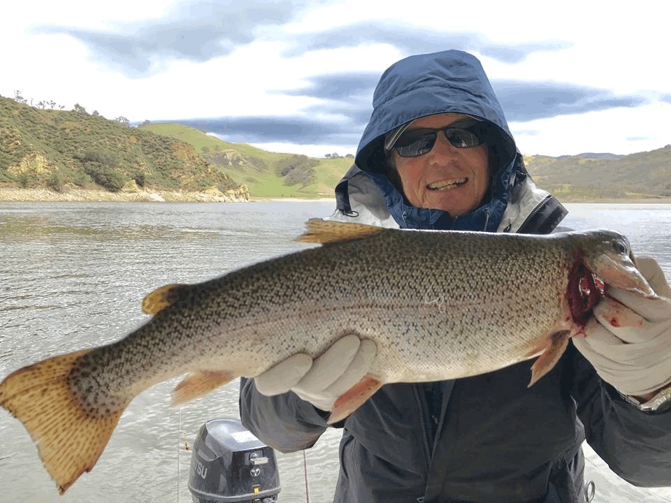 Del Valle Offers Most Diverse Fishery of Bay Area Lakes