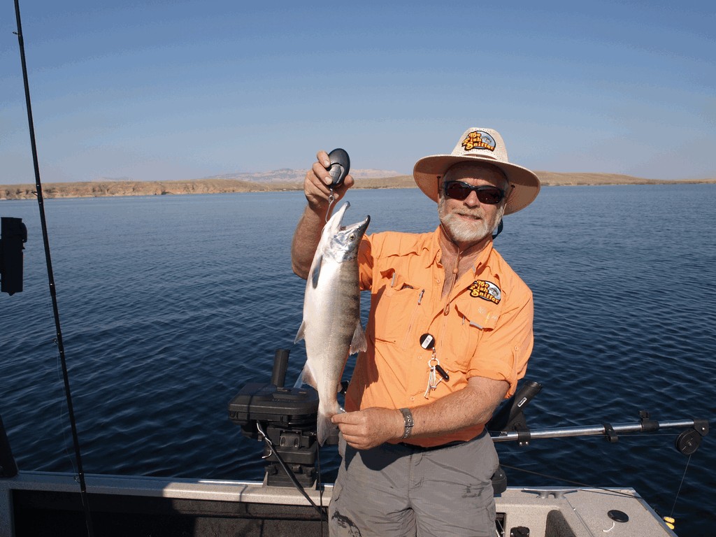 Journey to the Kokanee Fisherman’s Valhalla – Flaming Gorge!