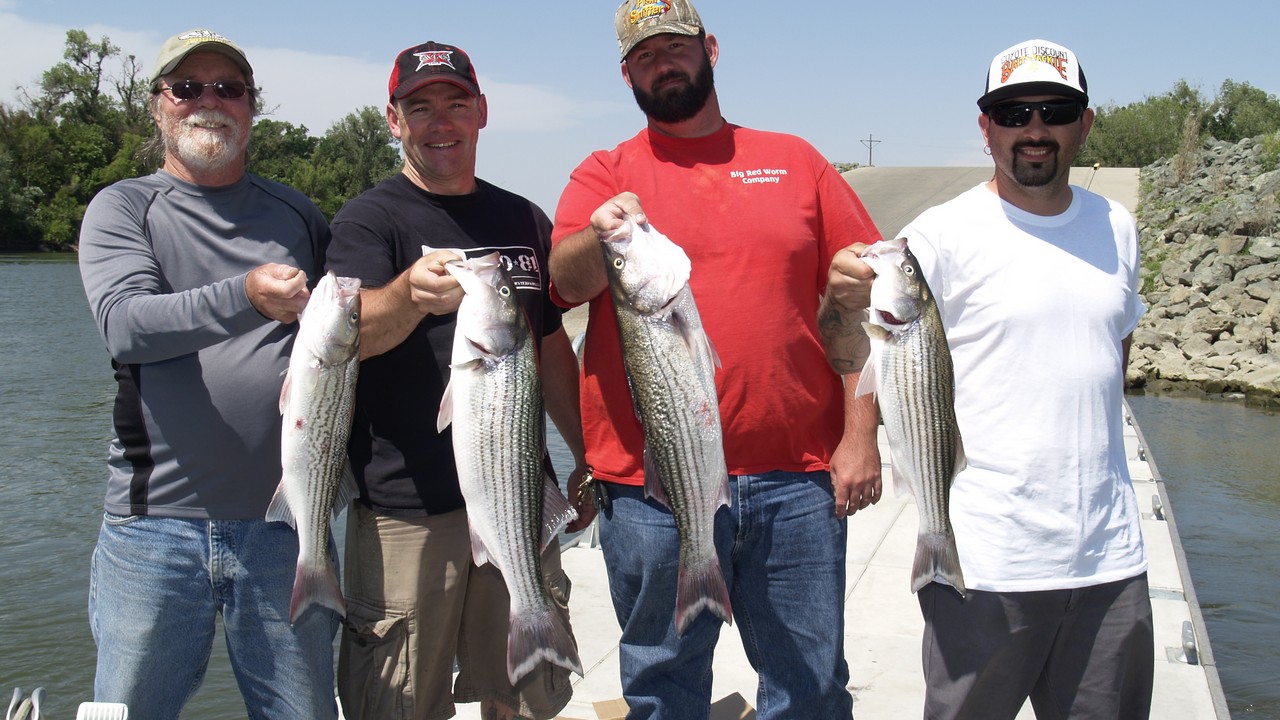Bait Fishing Gear For Delta Stripers