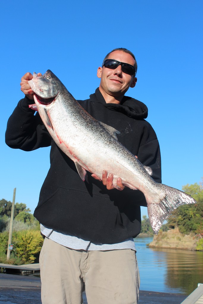 Salmon Fishing Shifts into High Gear on Sacramento from the Delta to the Capitol