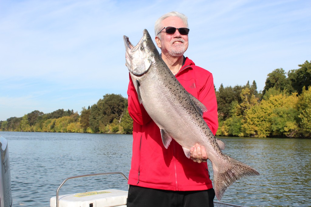 Limits of Salmon in the City Limits