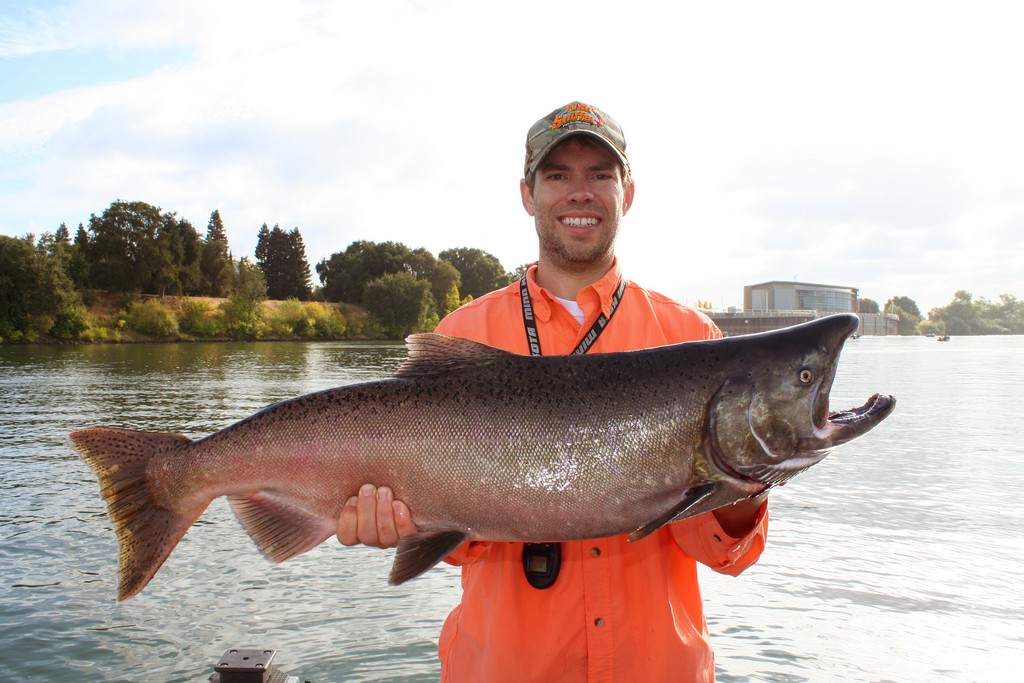 Trolling Methods for Sac Metro Salmon