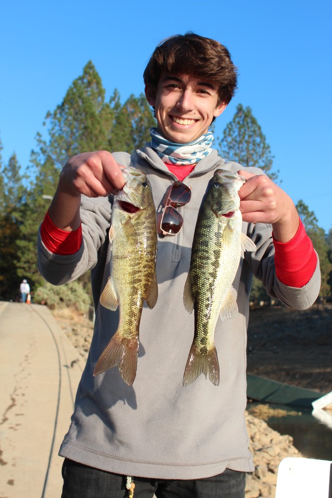 Fall Offers Solitude for Trout, Bass & Crappie Anglers at Rollins Lake