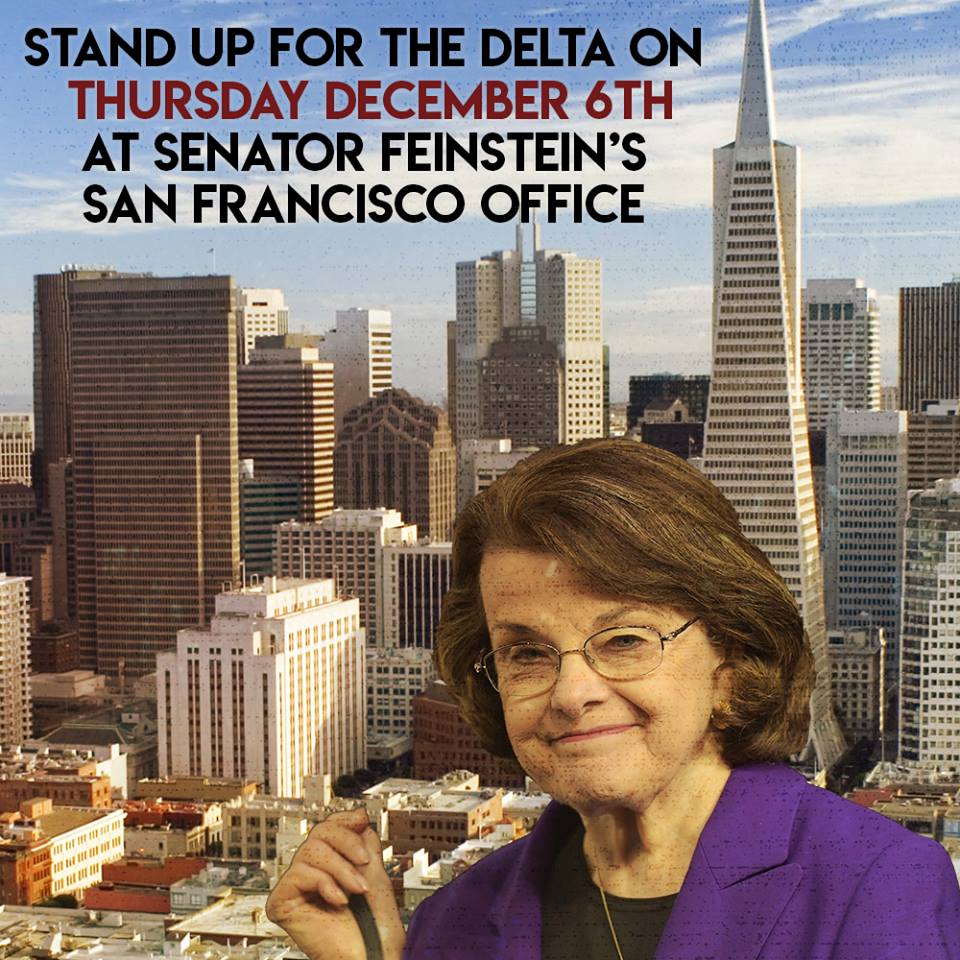 Stand Up for the Delta on Thursday, December 6, at Senator Feinstein's San Francisco Office