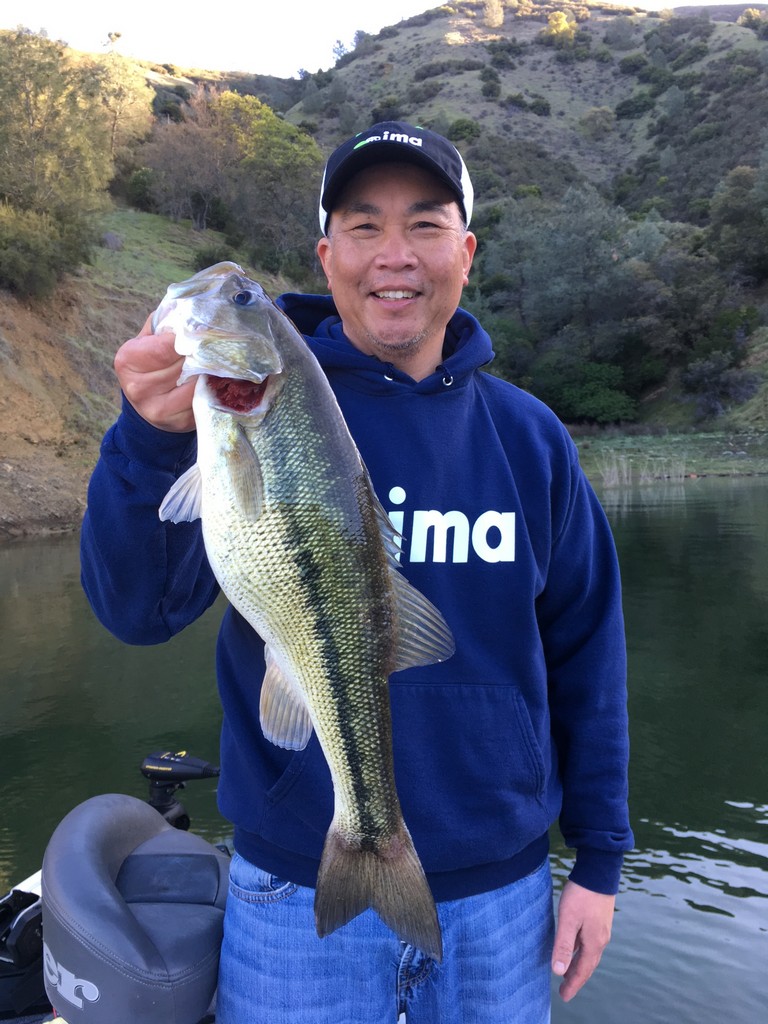 Jerking Winter Bass With The Ima Flit
