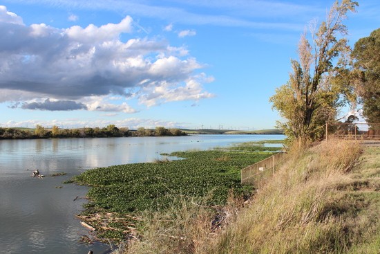 Fishing Groups, Winnemem Wintu Sue Department of Water Resources to Protect Flows